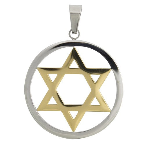 Two Tone Star of David Pendant